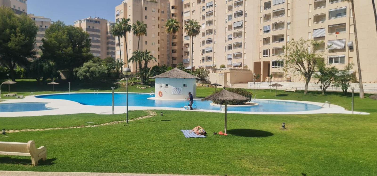 Jardin Del Mar Playa Muchavista - El Campello - Alicante Екстер'єр фото